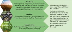 Carbon Offset Generation