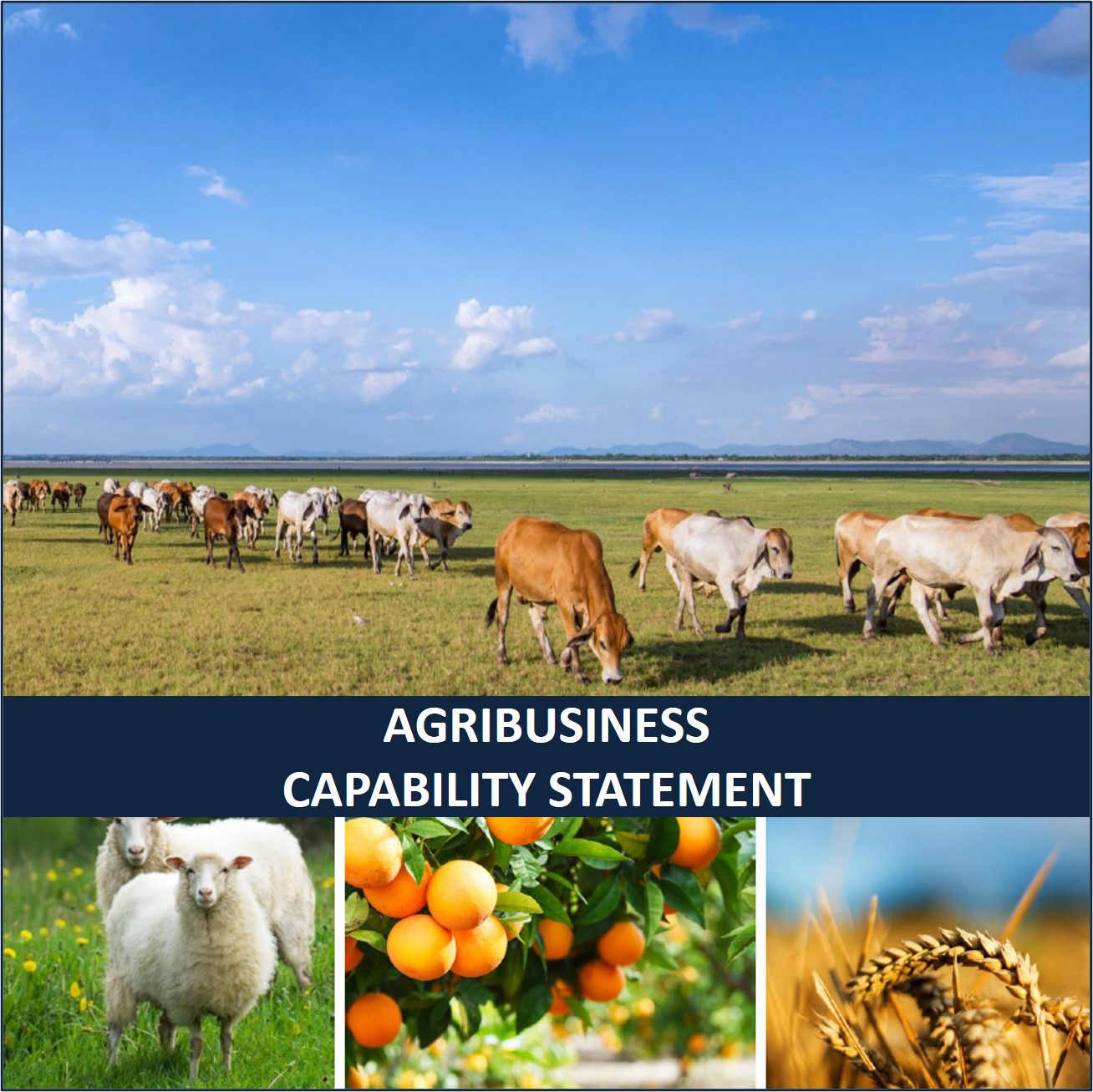 Download Siecap Agribusiness Capability Statement